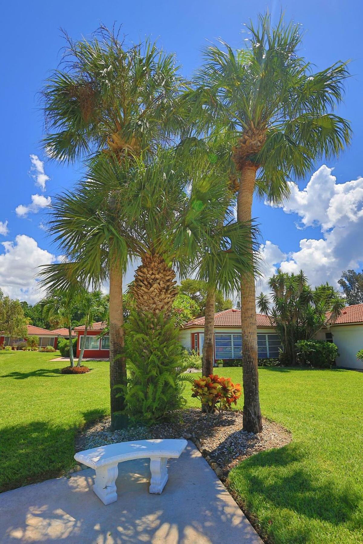 Updated Condo With Pool, Walk To Crescent Beach & Restaurants! Sarasota Ngoại thất bức ảnh